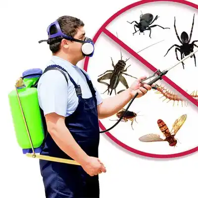 pest control Edith Endave
